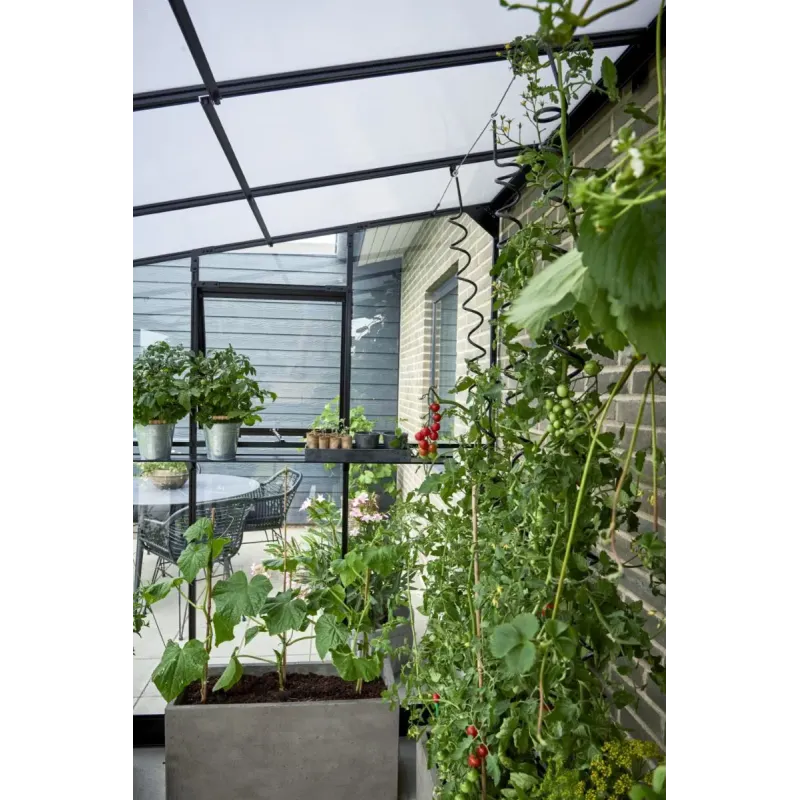 Halls Drivhus Qube Lean-  612 Sort        Hærdet Glas  F09937